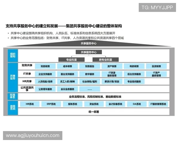 J9集团在数字化转型中的关键举措与未来规划