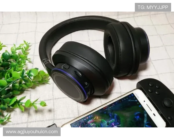 如何快速找到稳定的K8登录入口确保游戏体验顺畅